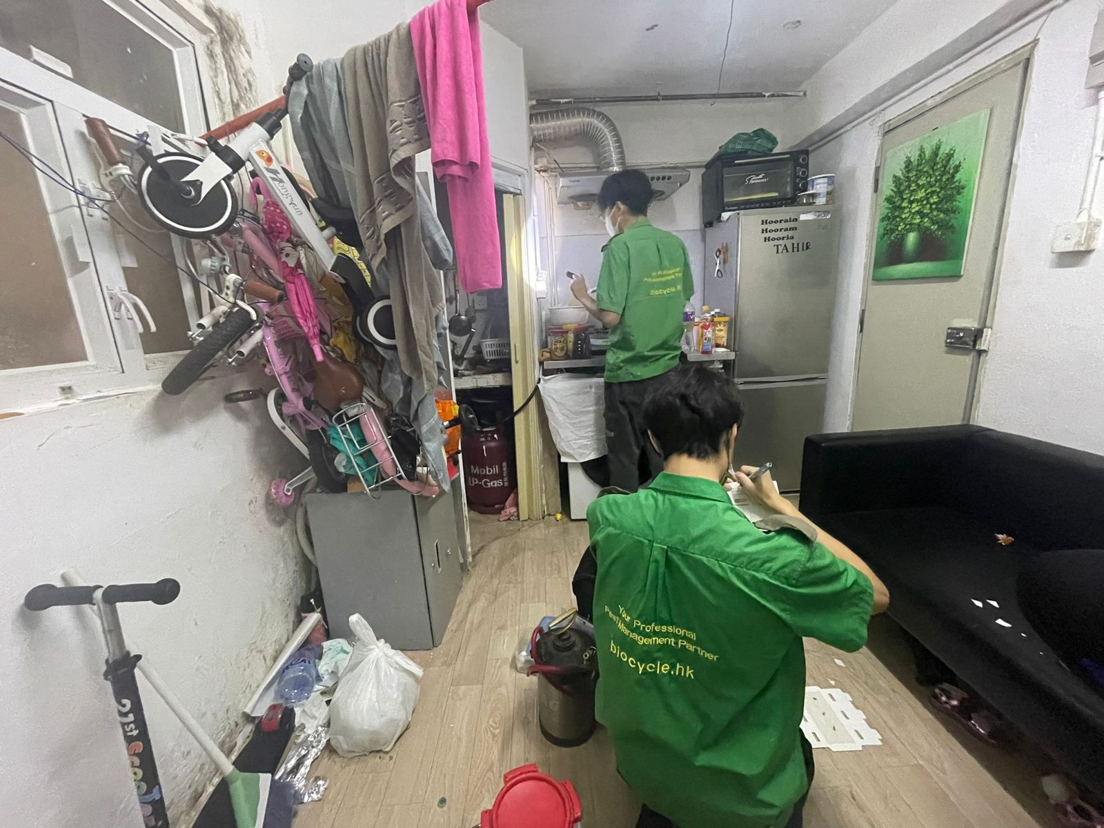 Workers treating and cleaning a kitchen in a subdivided flat